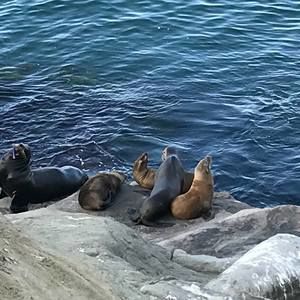 Meet your Posher, Tori